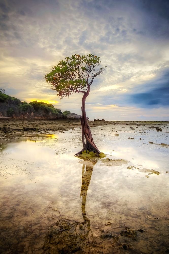 Фотография автора Henri Fitriadi