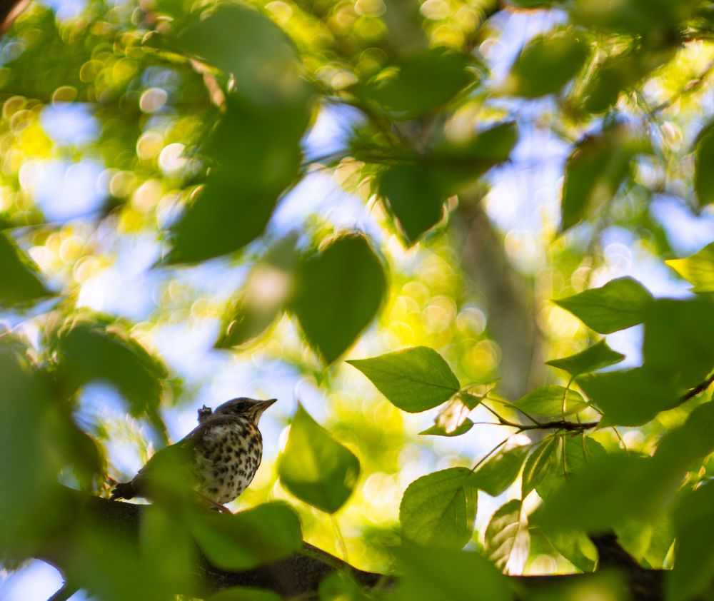 Photograph by Илья Долгушев