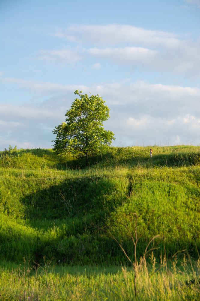 Photograph by Альбина Баташова