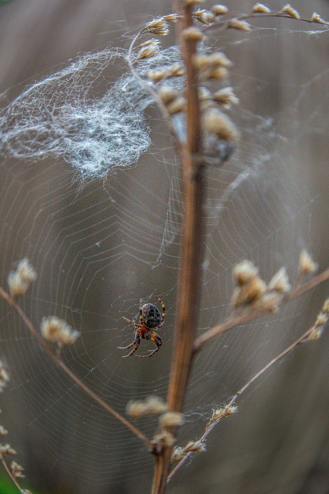 Photograph by Альбина Баташова