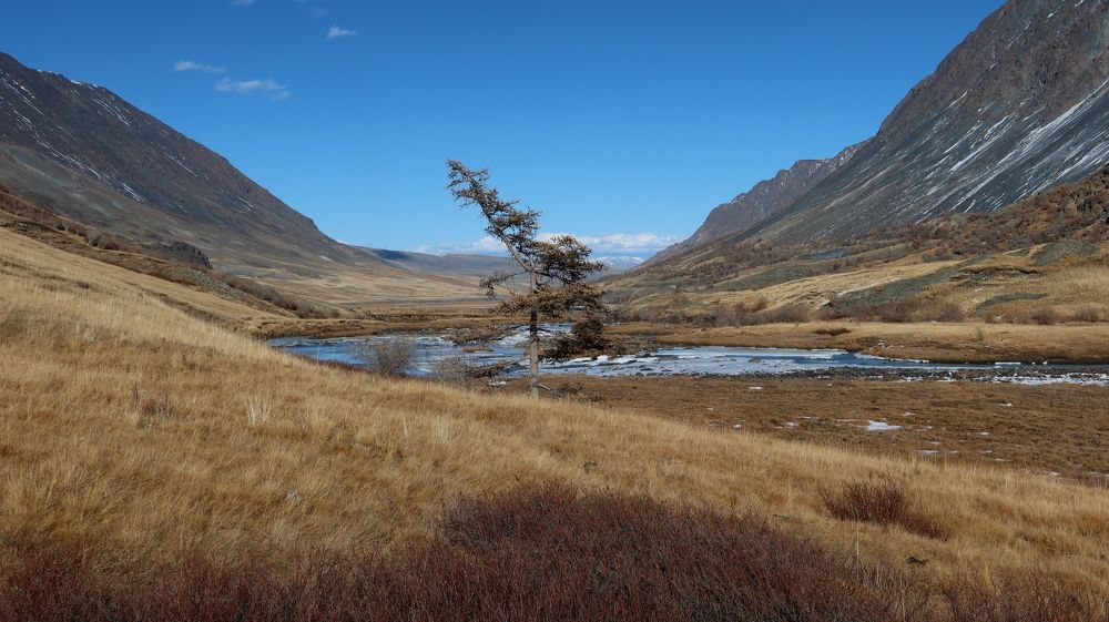 В горах Алтая