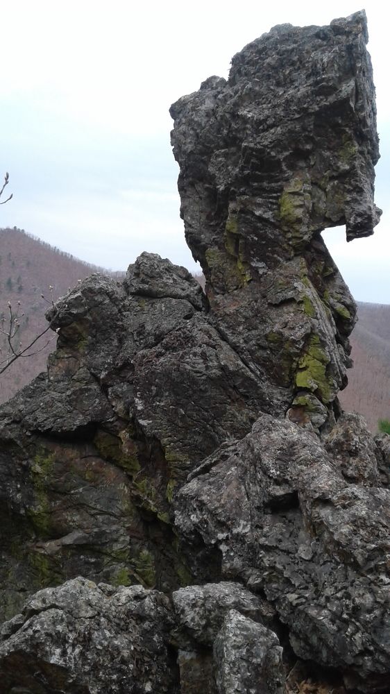 Photograph by Юлия Лихачева