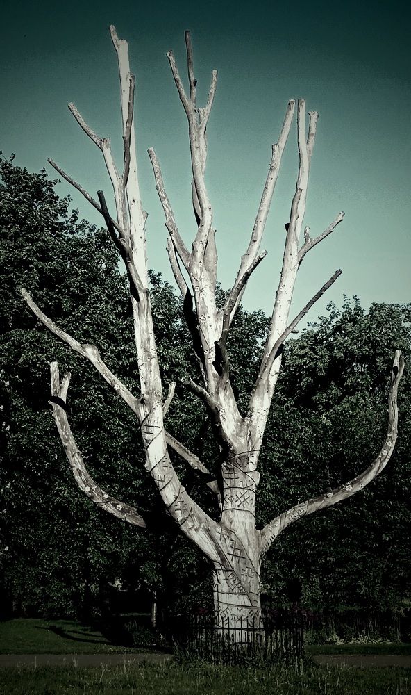 Фотография автора Maks Lanister