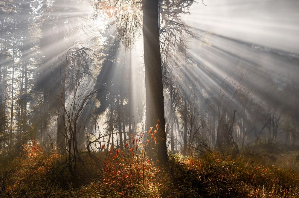 Photograph by Marina Poushkina