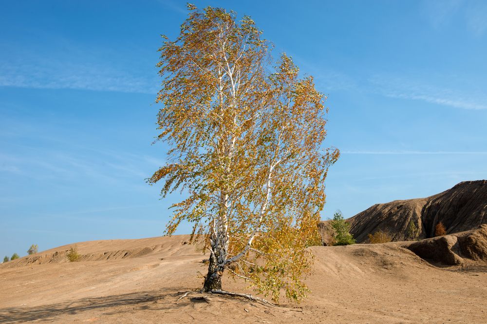 Photograph by Константин Пухов