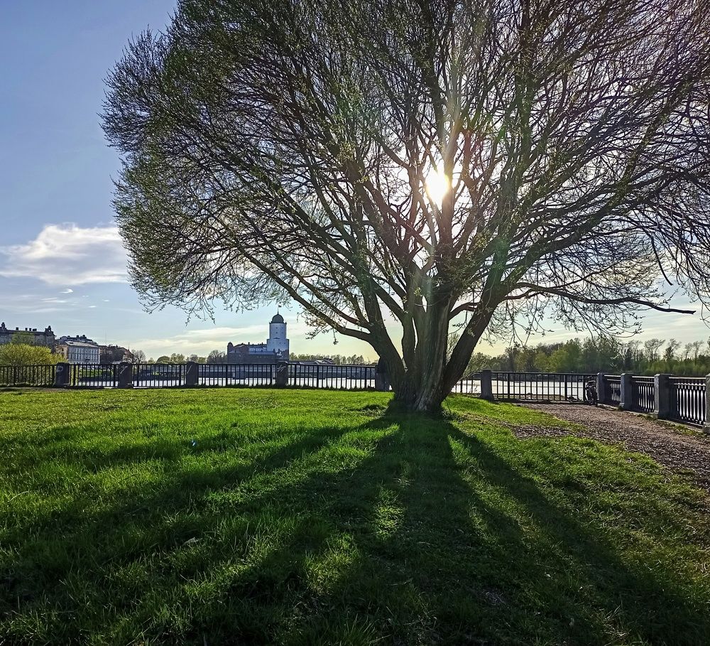 Photograph by Sergey Kurkov-Tarkovsky