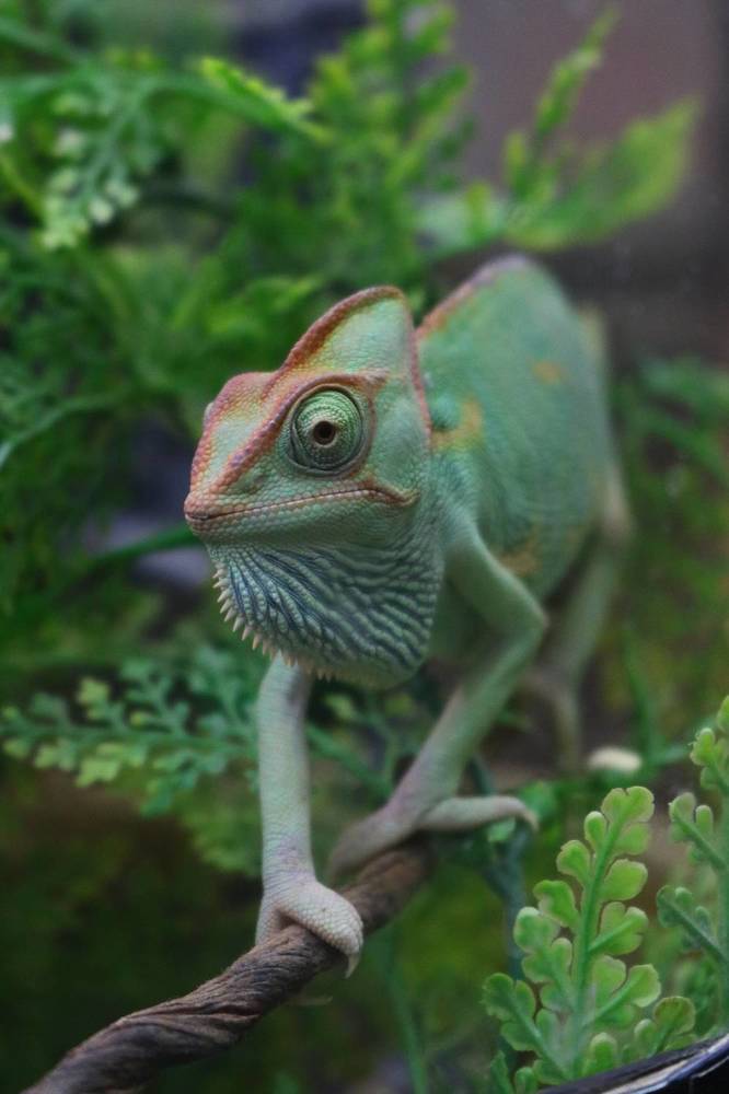 Photograph by Светлана Шуткова