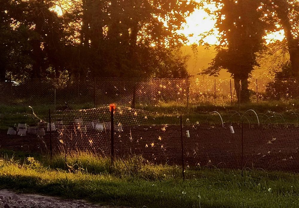 Photograph by Филоненко Николай