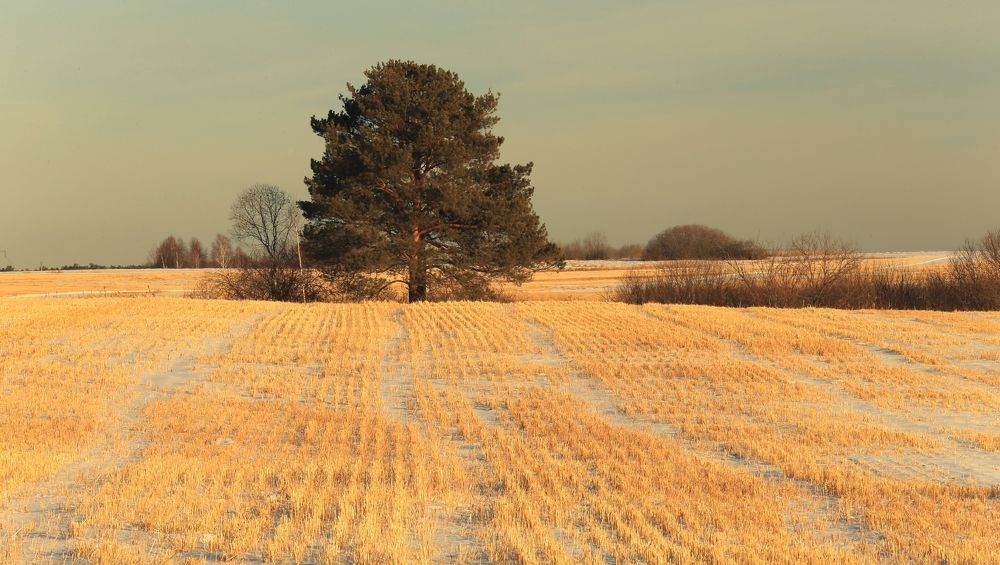Фотография автора Юрий Кетель
