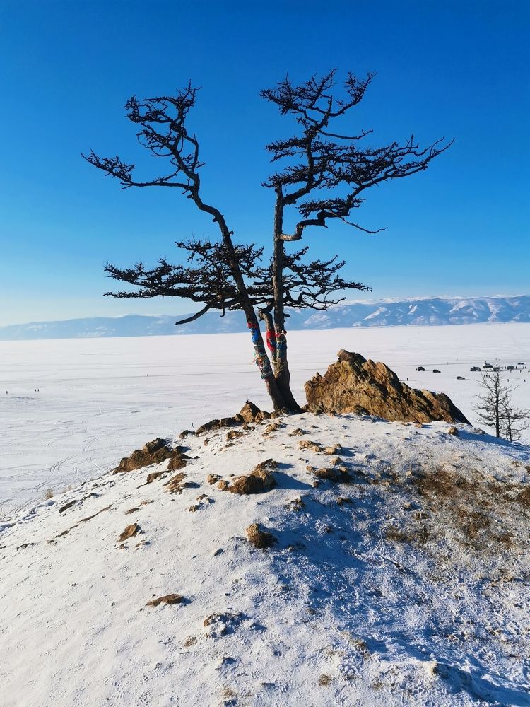 Photograph by Анастасия Лотова