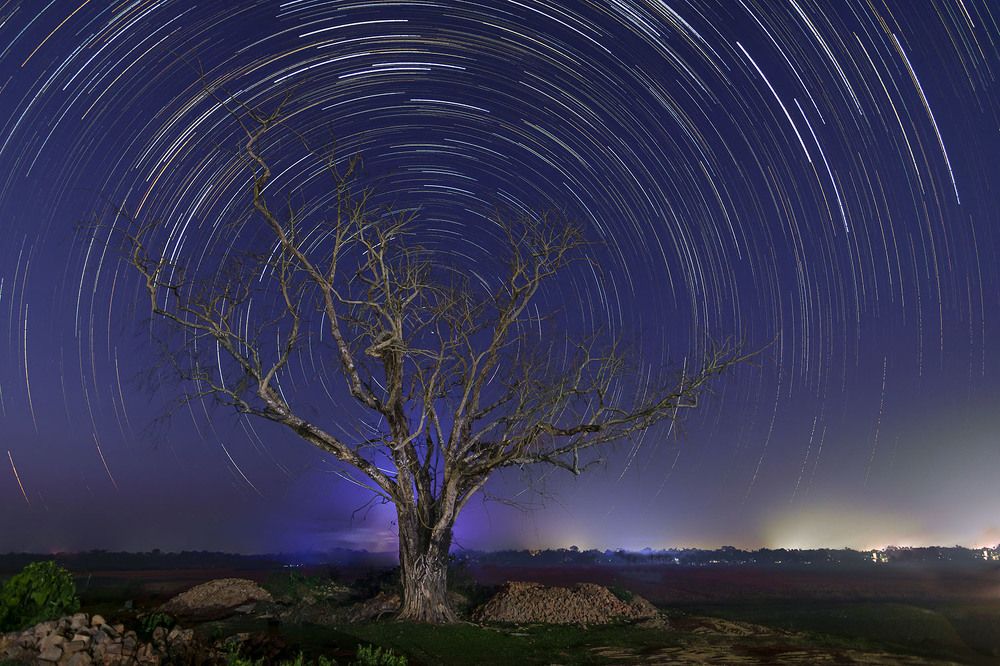 Photograph by SIMSON DAS