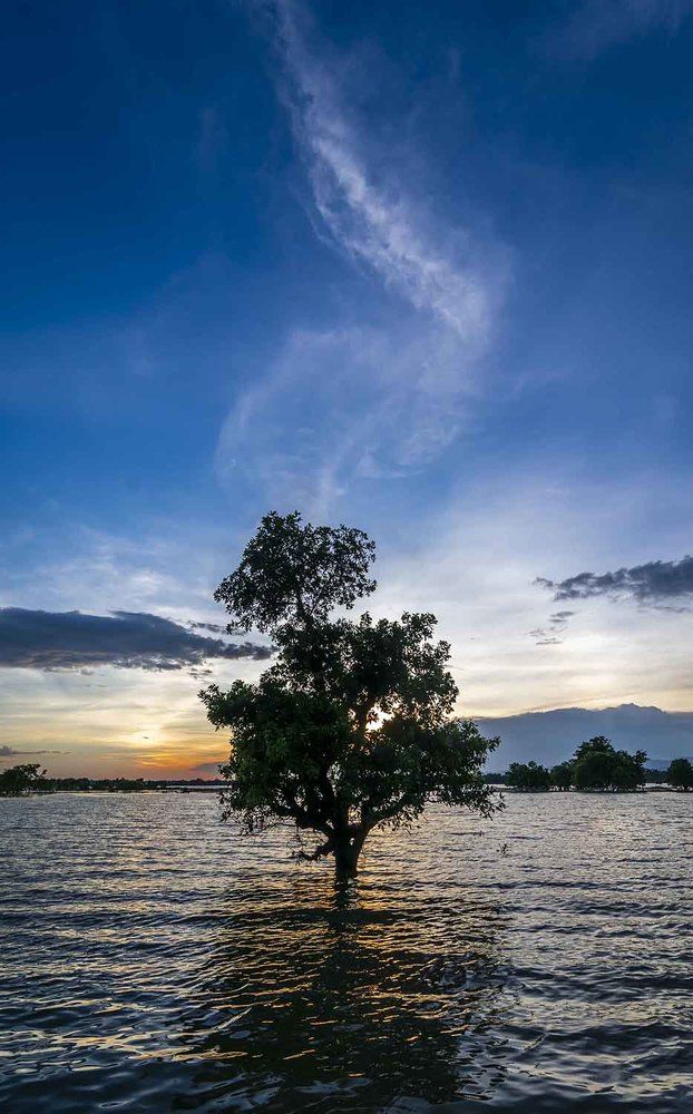 Photograph by SIMSON DAS