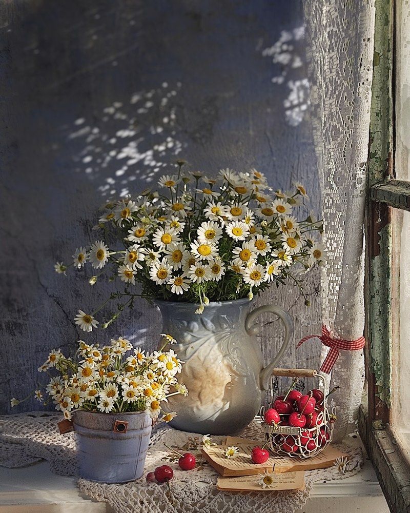 Фотография автора Инга Шевелёва