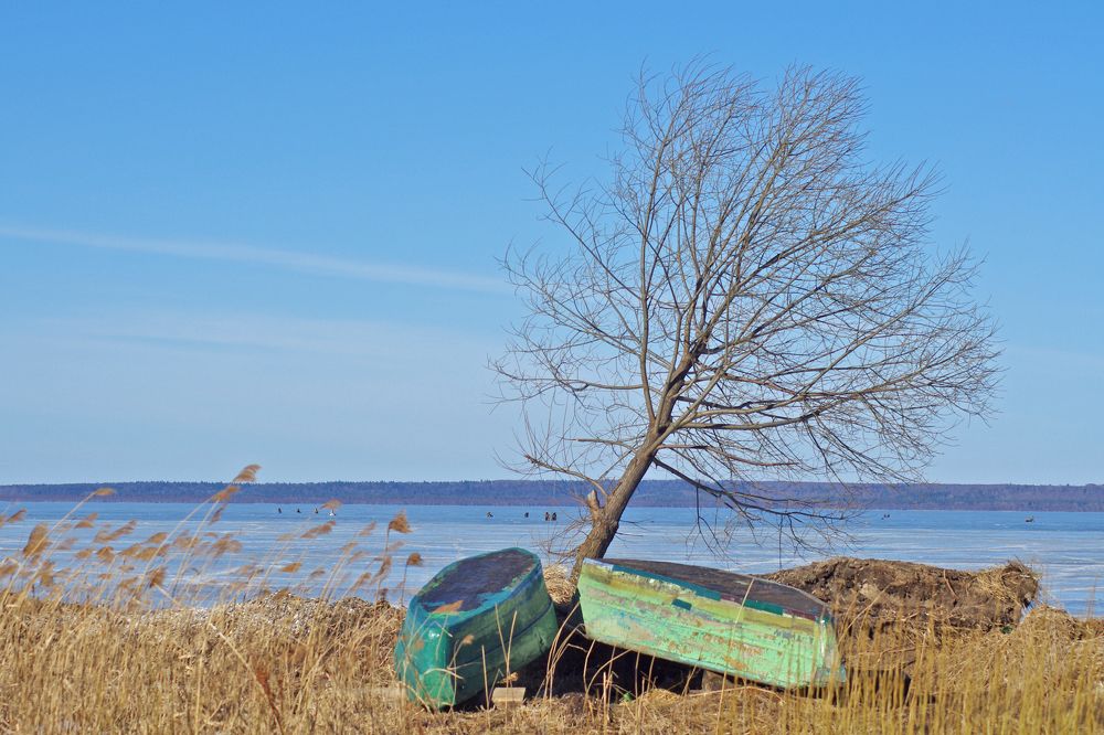 Photograph by Елена Щитова