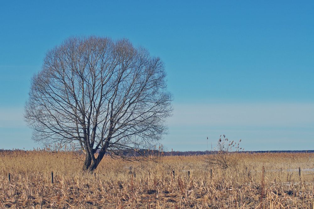 Photograph by Елена Щитова