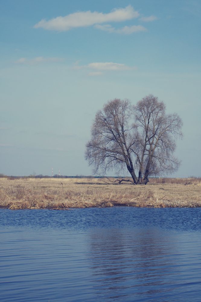 Photograph by Елена Щитова