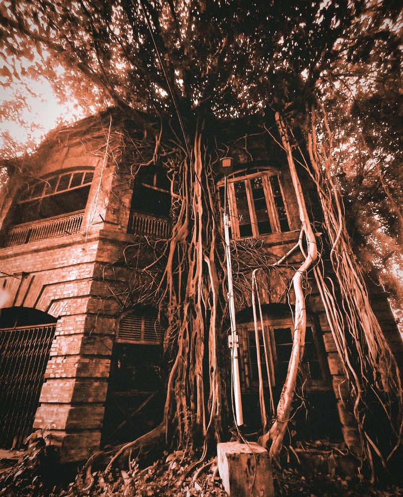 Фотография автора Debdutt Saha