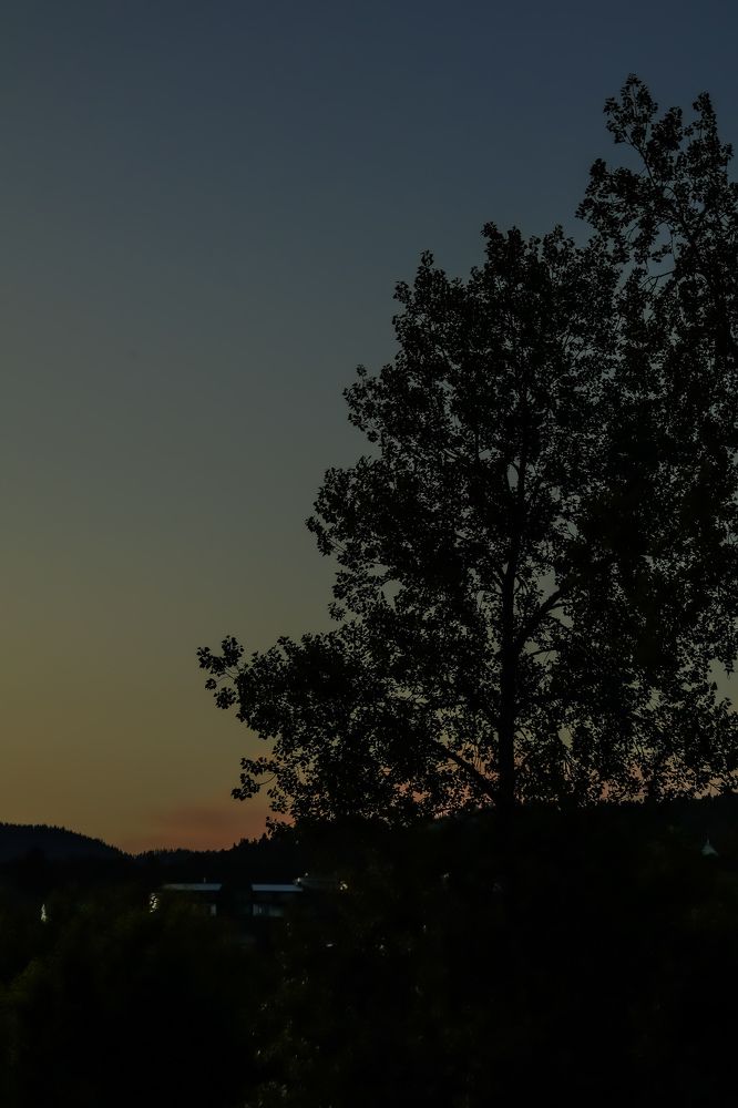 Photograph by 24y6C11 CHIM DONG HAN