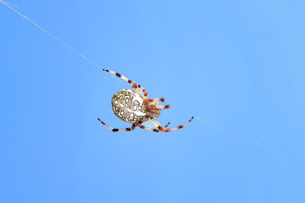 Photograph by Александр Шипиленко