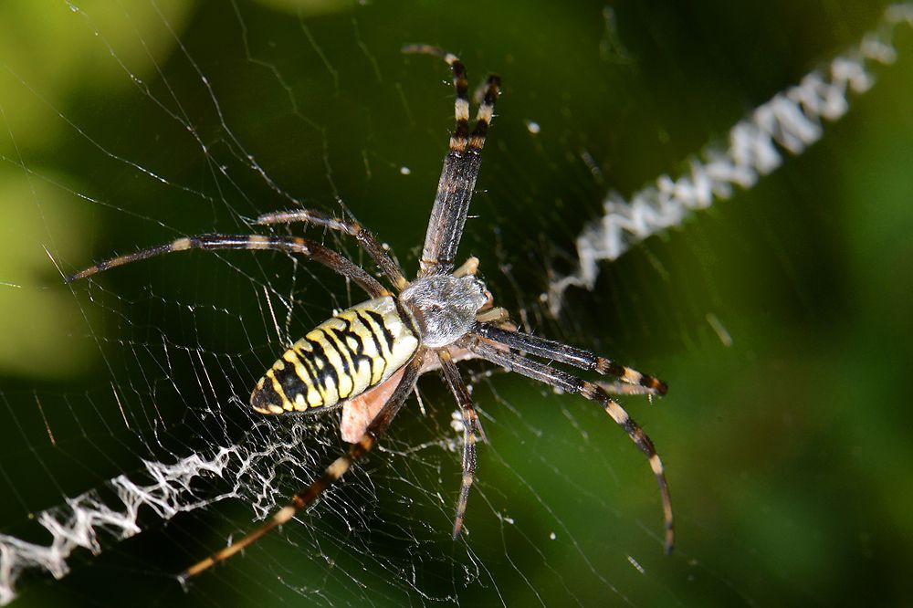 Photograph by Александр Шипиленко