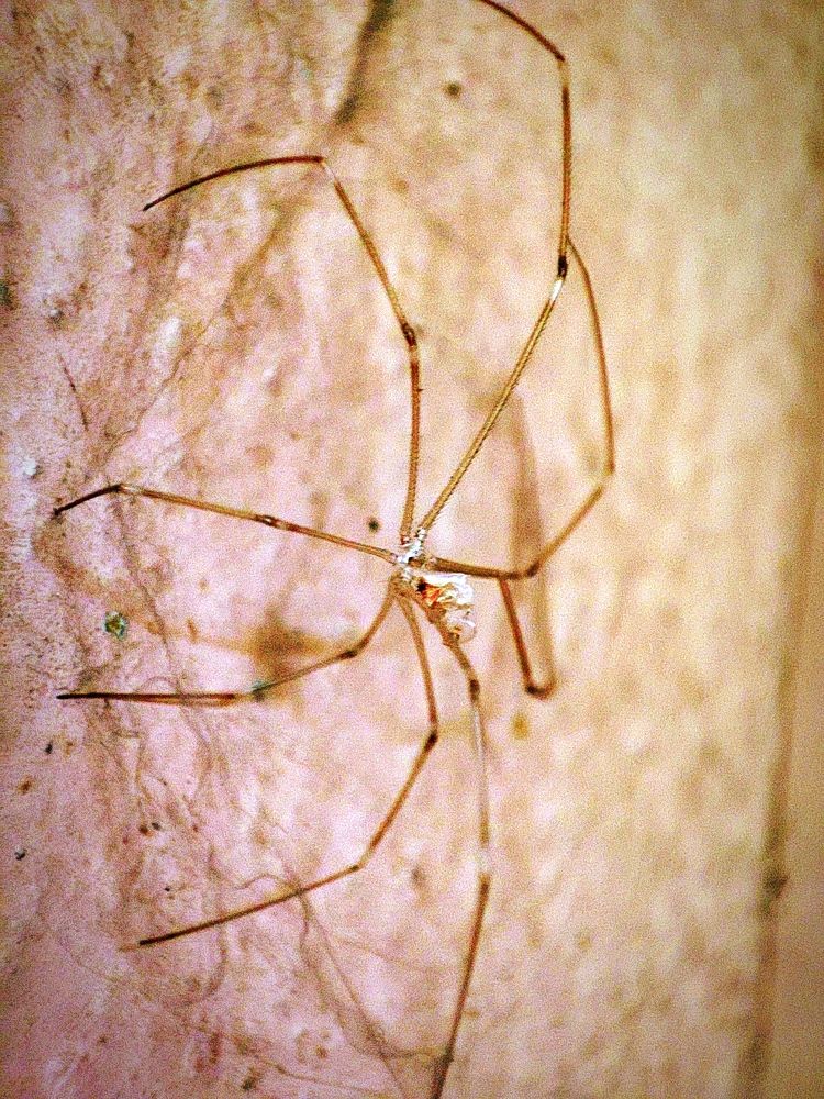 Фотография автора Debdutt Saha