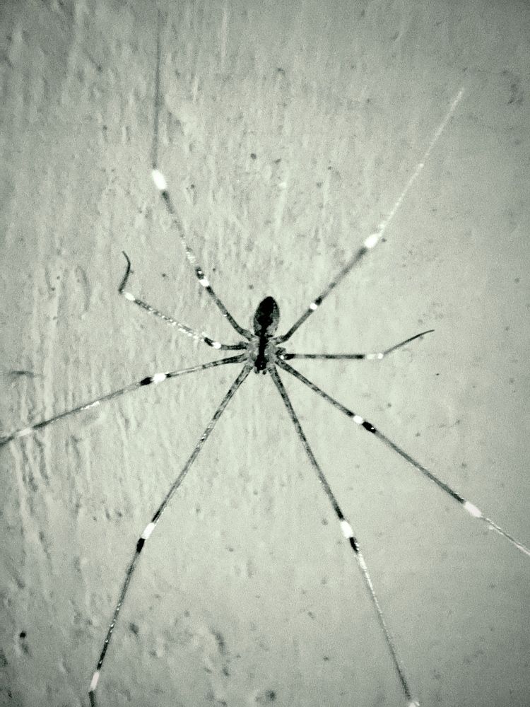 Фотография автора Debdutt Saha