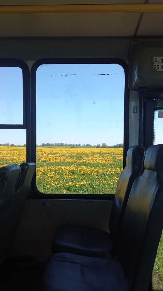 Photograph by Сергей Лугин