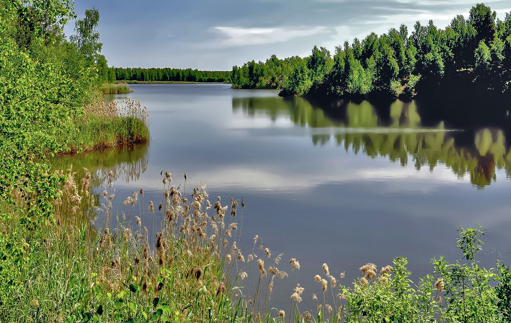 Sjön tystnad