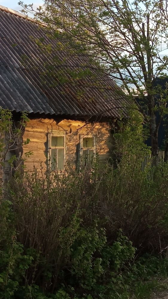 Photograph by Сергей Лугин