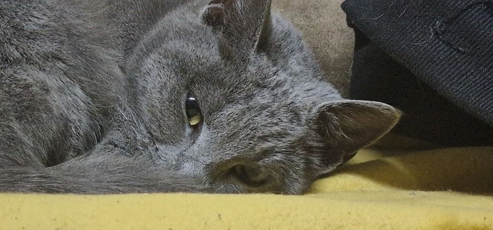 Photograph by Anastasia Tsatsou