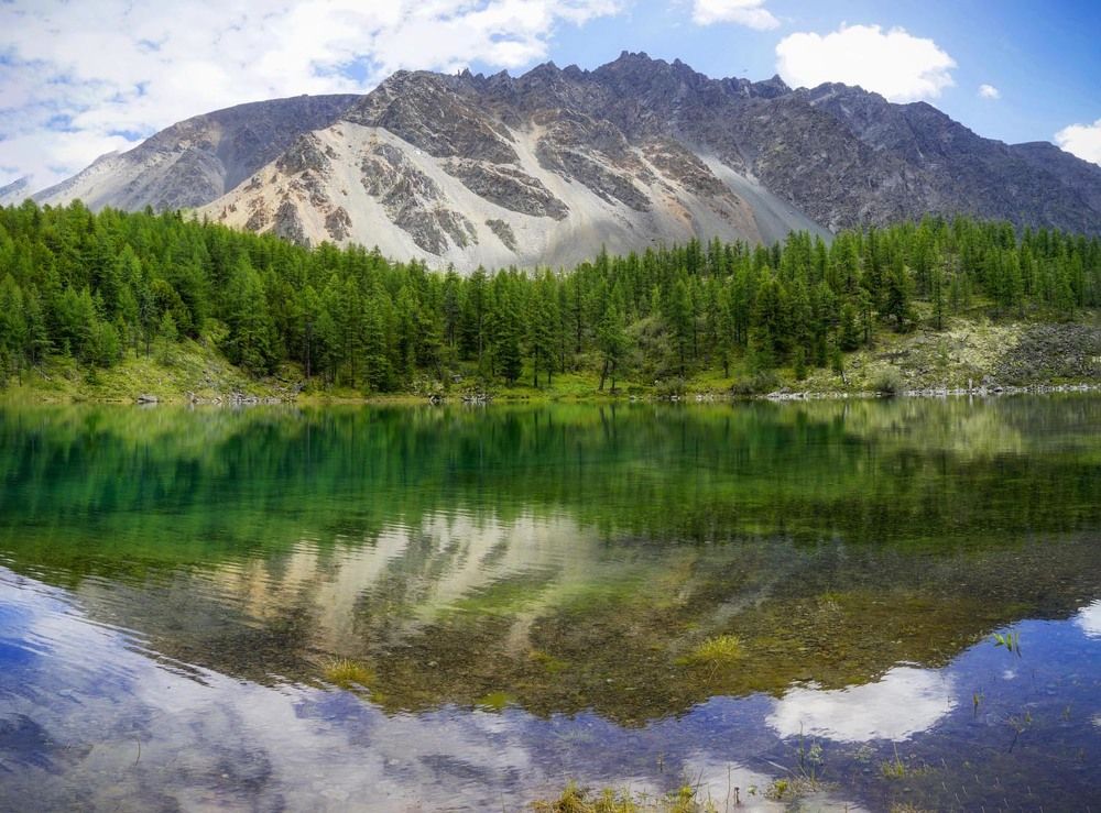 Фотография автора Татьяна Добровольская
