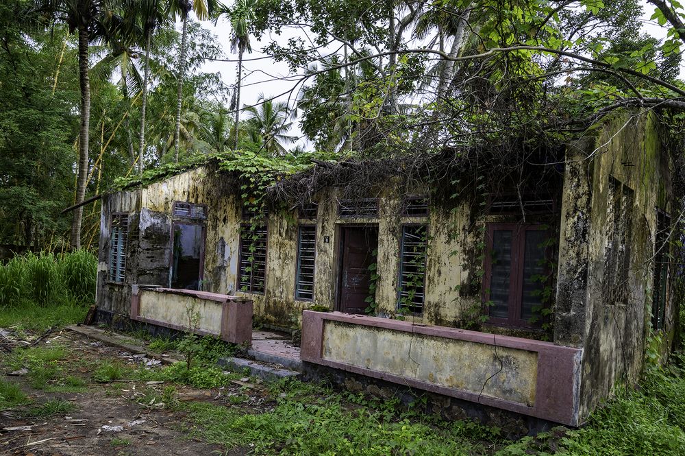 Фотография автора Hari Saya