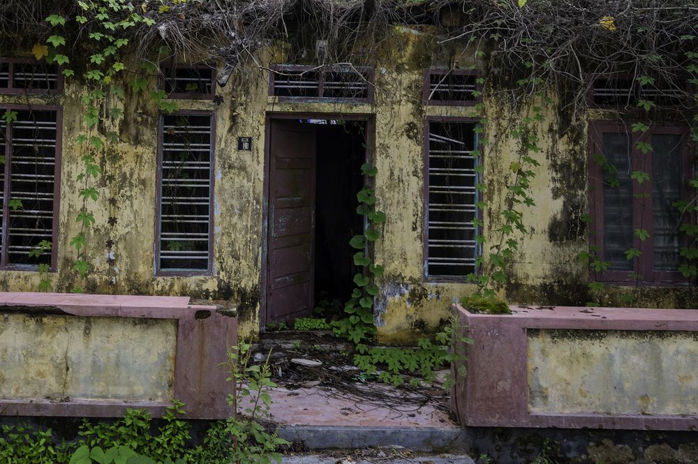 Фотография автора Hari Saya