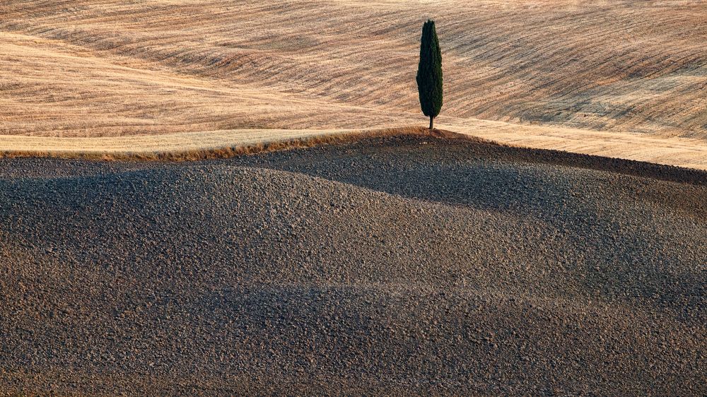 Photograph by Игорь Соколовский