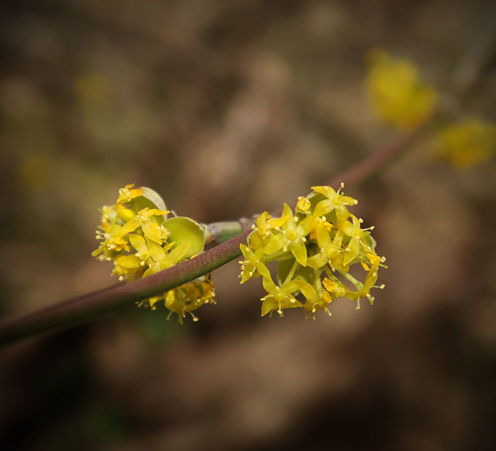 Photograph by Александра