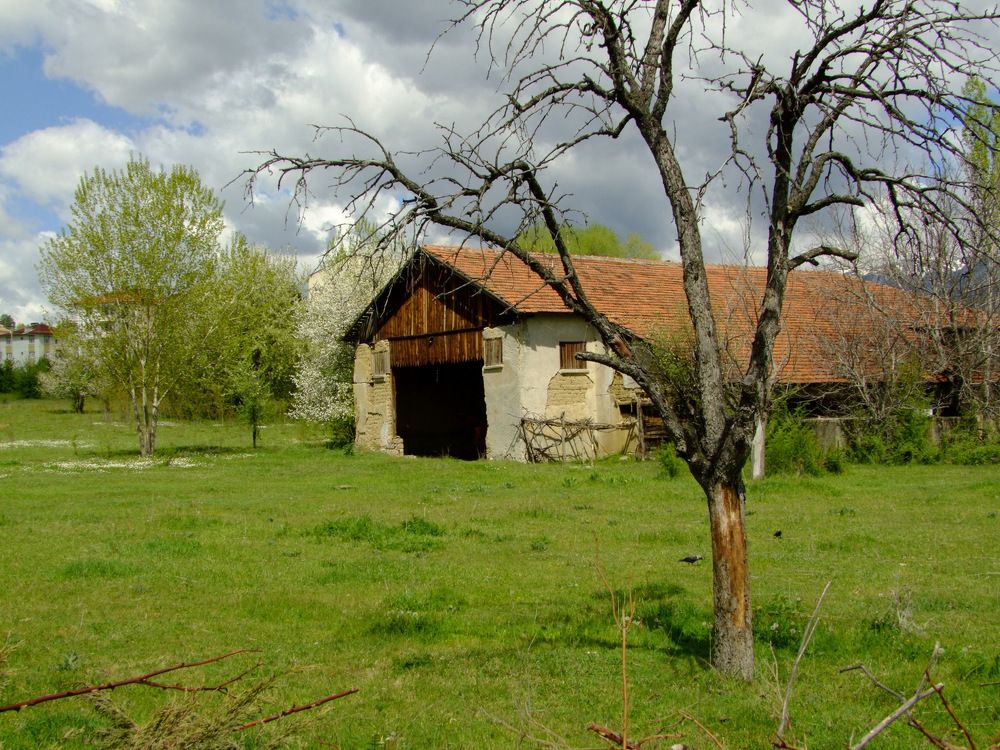 Photograph by Cengiz Yalcin