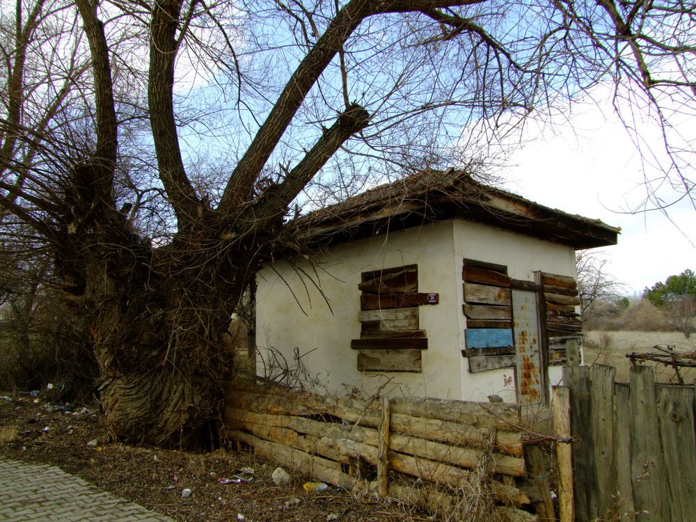 Photograph by Cengiz Yalcin