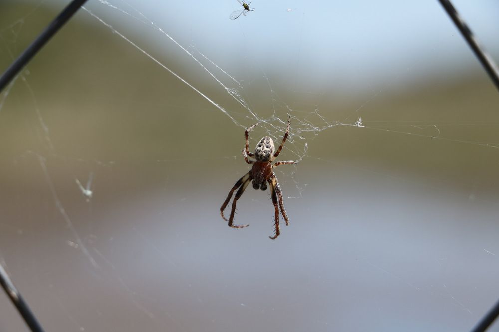 Photograph by Cengiz Yalcin