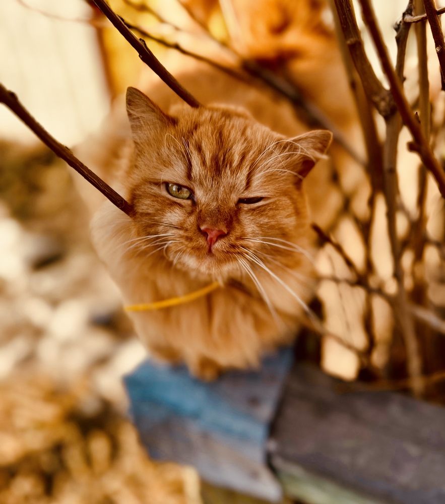 Photograph by Ирина Кожухова