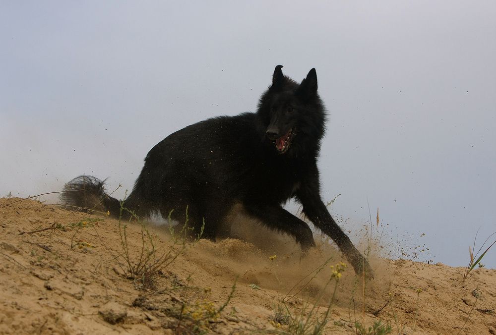 Фотография автора Надежда Лисицына