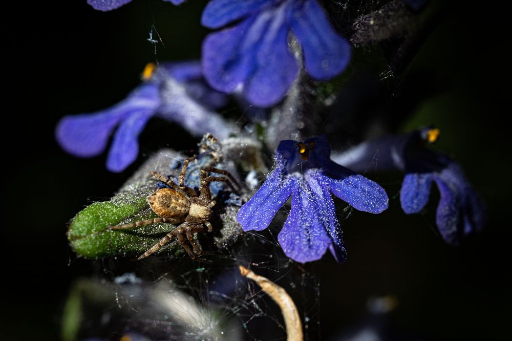 Фотография автора Ирина Гриценко