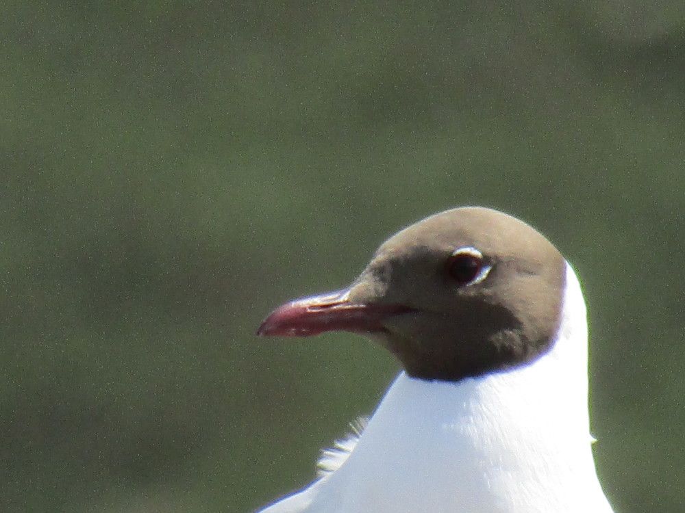 Photograph by Оксана Подъельская