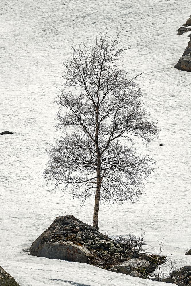 Photograph by Пешков Валерий