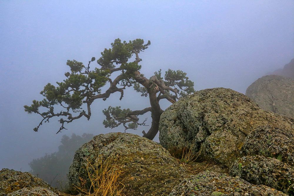 Photograph by Михаил Баевский