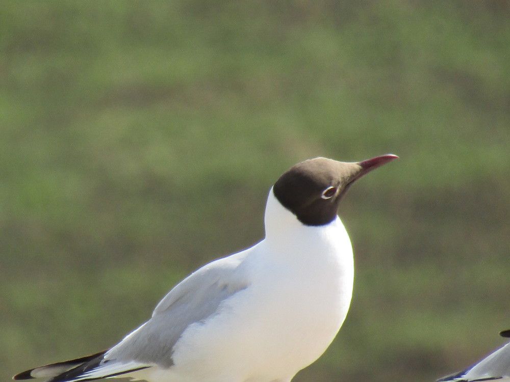 Photograph by Оксана Подъельская