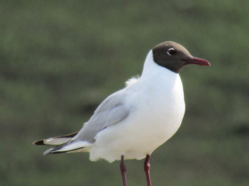 Photograph by Оксана Подъельская