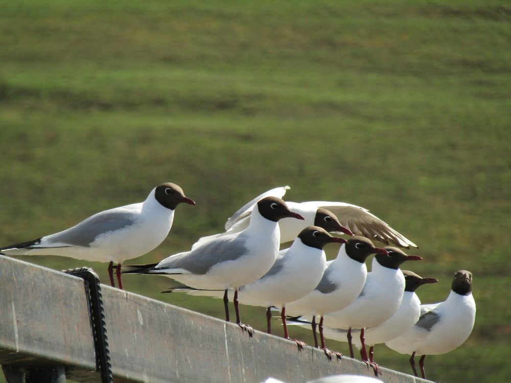 Photograph by Оксана Подъельская