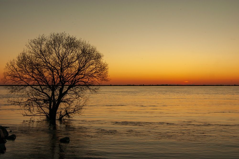 Photograph by Новиков Александр