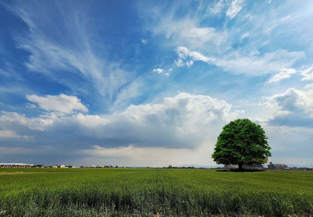 Фотография автора reyhane  khavaninzadeh