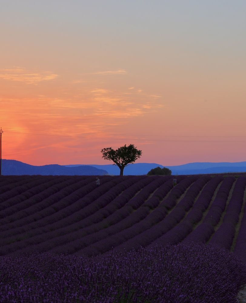 Photograph by Ольга Одаренко